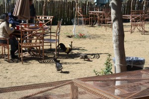 IMG_1668