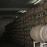 IMG_1691