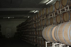 IMG_1691