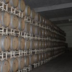 IMG_1692