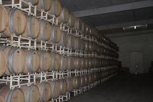 IMG_1692