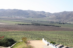 IMG_1724