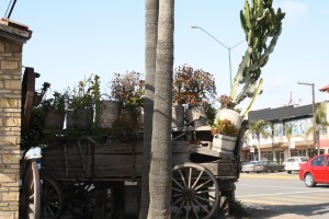 IMG_1869