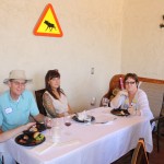 IMG_2097 IMG_2097