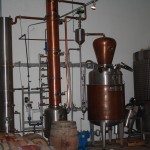 IMG_2377 IMG_2377