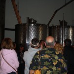 IMG_2379 IMG_2379