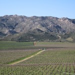 IMG_2432 IMG_2432
