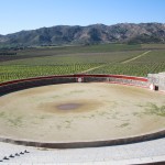 IMG_2433 IMG_2433