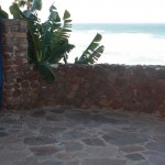 IMG_2511 IMG_2511