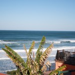 IMG_2514 IMG_2514