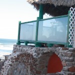 IMG_2515 IMG_2515