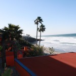 IMG_2516 IMG_2516